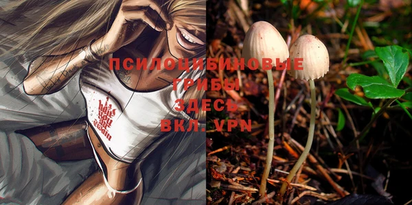 тгк Вязьма