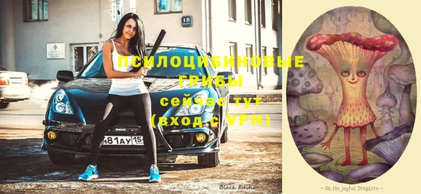 крисы Вяземский